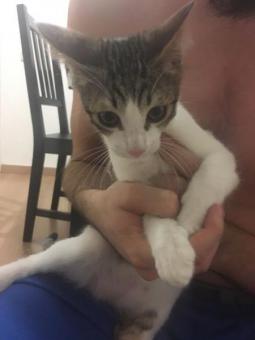 BENJI
